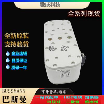 巴斯曼170M7166 170M7167 170M7168 大量现货厂价销售 快速保险丝