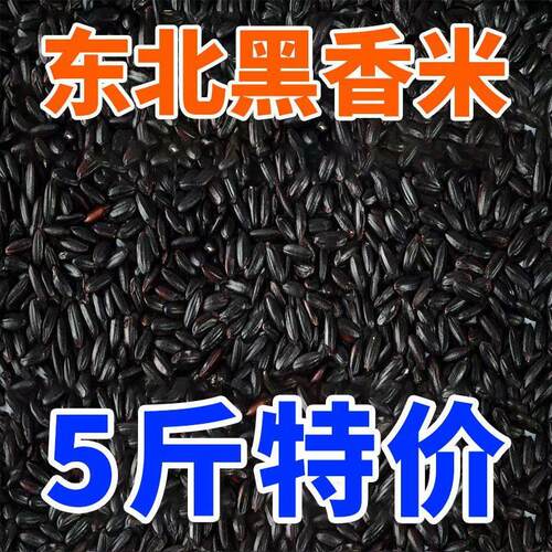 正宗东北黑米黑龙江五谷杂粮农家黑香米新货非紫米糙米熬粥代早餐