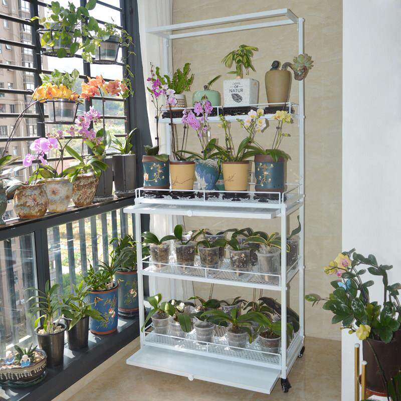 蝴蝶兰专用花架彩芋架带轮室内阳台客厅落地式石斛兰摆放架子展示