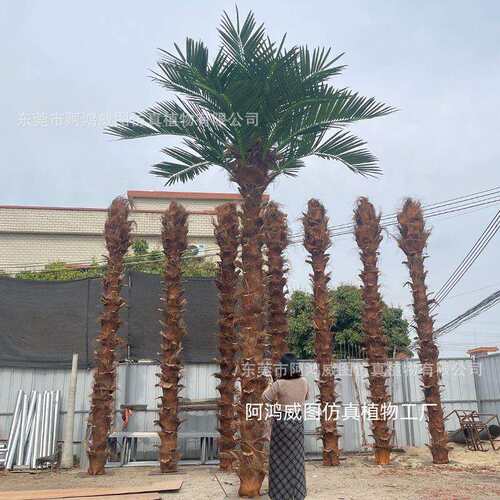 棕榈树真椰子树大小型热带雨林假椰树装饰恐龙园仿生植物厂家