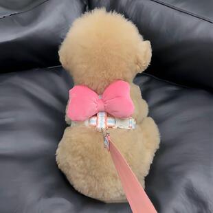 小狗狗牵引绳新款蝴蝶结胸背小型犬背心式比熊泰迪防挣脱遛狗绳子