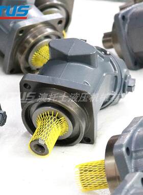 斜轴定量柱塞马达AA2FM32/61W-VSD526高速油马达Dynapac
