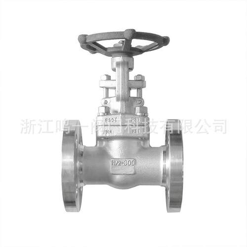 整体锻造不锈钢F04法兰闸阀一体式连体法兰限流闸阀Z41YW厂家