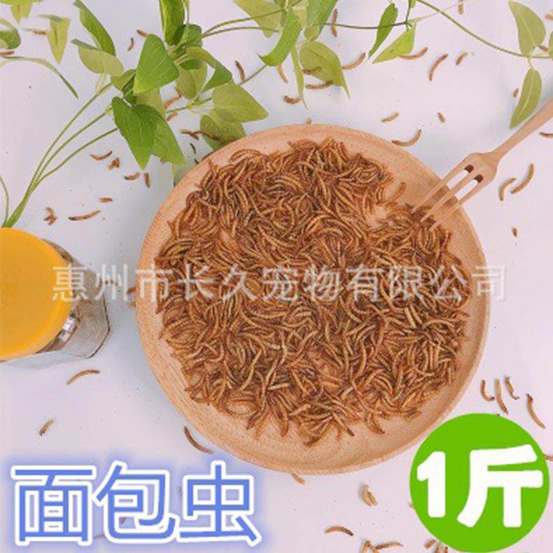 20斤包邮散装面包虫黄粉虫 鸟龟仓鼠专用零食虫干 鸟食鸽子粮食