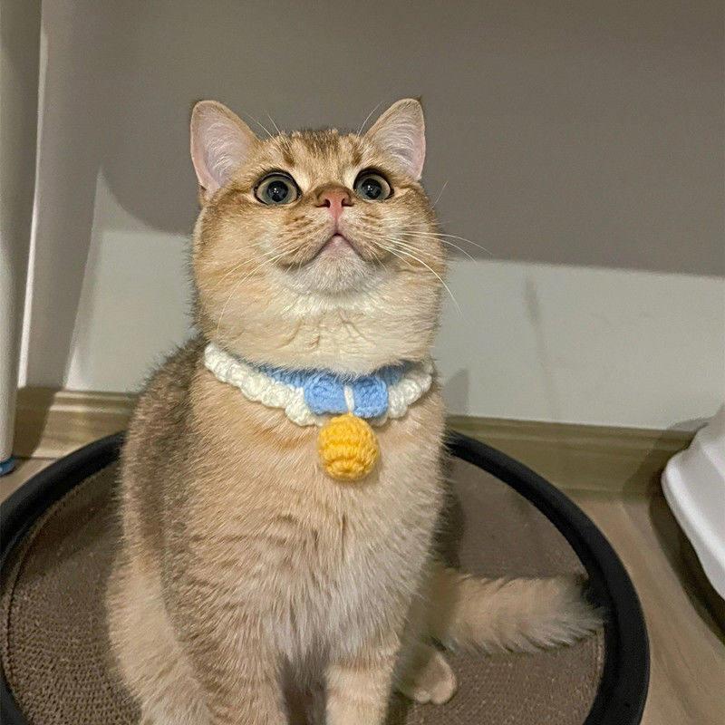 猫咪项圈无声铃铛可调节狗狗小型犬手工针织围脖英短美短宠物脖圈