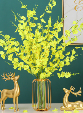 铁艺几何玻璃试管灯笼水培花瓶家居客厅酒柜桌面装饰绿萝花插摆件