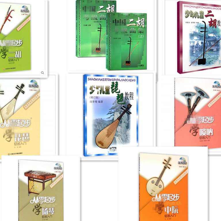 从零起步学二胡琵琶唢呐扬琴中阮少年儿童琵琶二胡扬琴