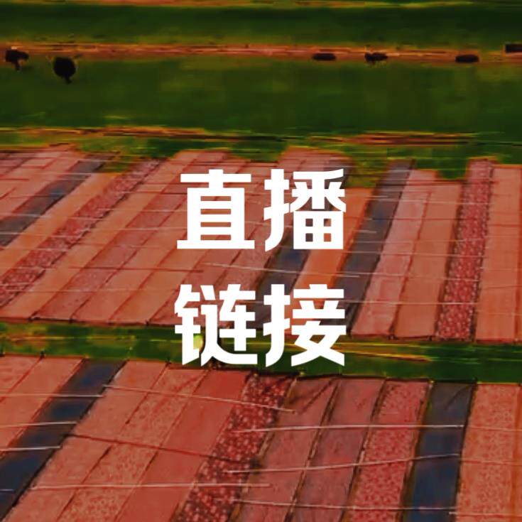 改价炼接高端真丝布料弹力缎零布头柔软印花桑蚕丝旗袍面料香云纱