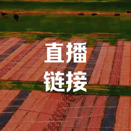 改价炼接高端真丝布料弹力缎零布头柔软印花桑蚕丝旗袍面料香云纱