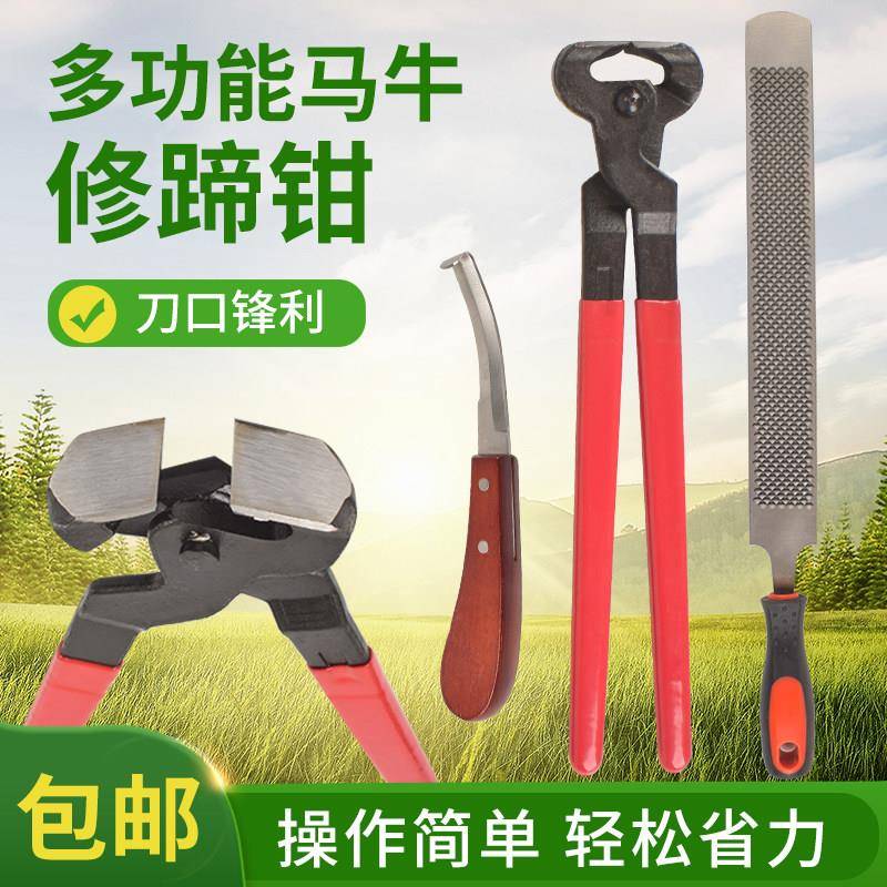 马用修蹄钳牛蹄剪刀兽用修蹄套装大号平口剪蹄钳马房用品修蹄锉刀