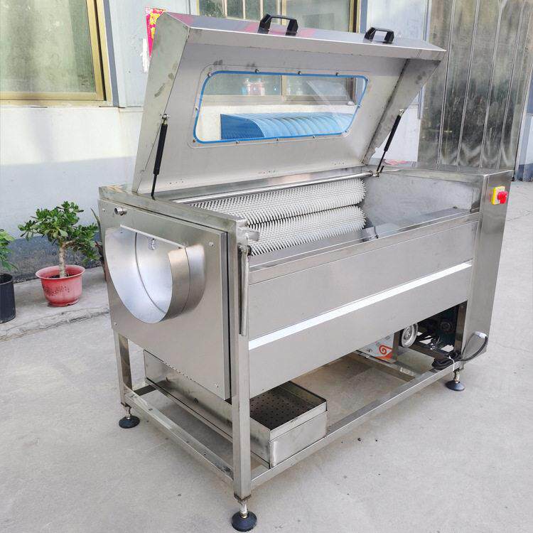 全自动生蚝清洗机商用毛刷辊海鲜清洗机大型扇贝花噶海参清洗机器