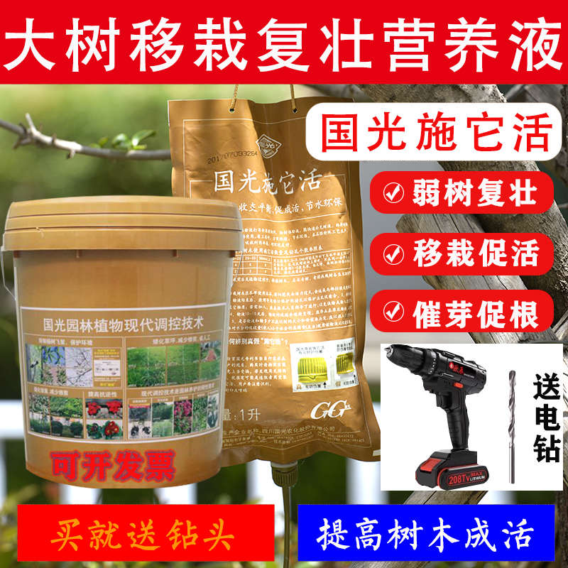 国光施它活大树营养液苗木古树吊针液果树移栽复壮激活液催芽液