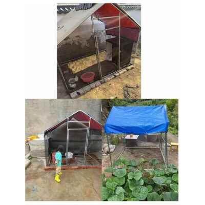 舍户BIV外殖棚养鸡棚防雨鸡窝养室外家鸭禽农村鸡笼棚鸽家用组装