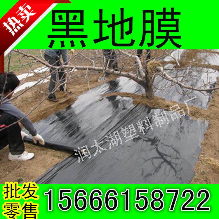 黑地膜农用白色黑色塑料薄膜加厚蔬菜除草种植工程建筑膜养殖膜