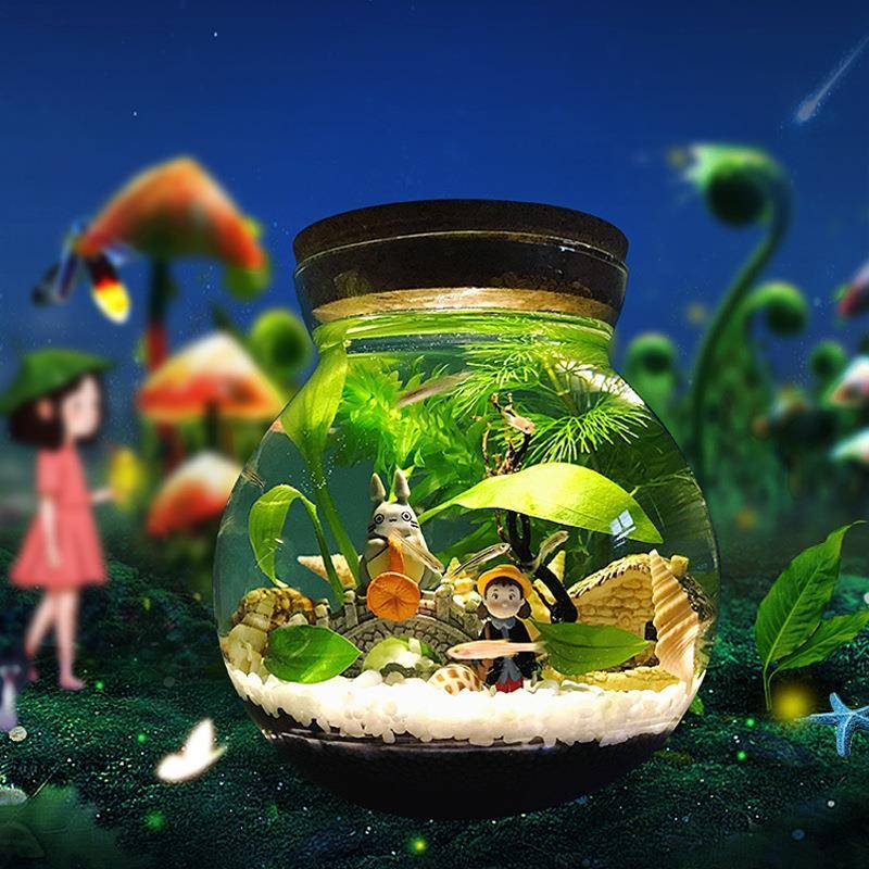 生态瓶微景观水族箱造景斗鱼缸办公桌面玻璃生态瓶鱼缸微景观空瓶图片