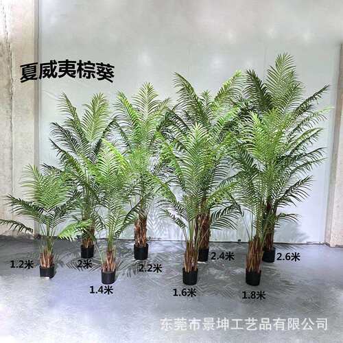 仿真夏威夷葵盆栽绿植欧式散尾葵造景家居摆件橱窗装饰源