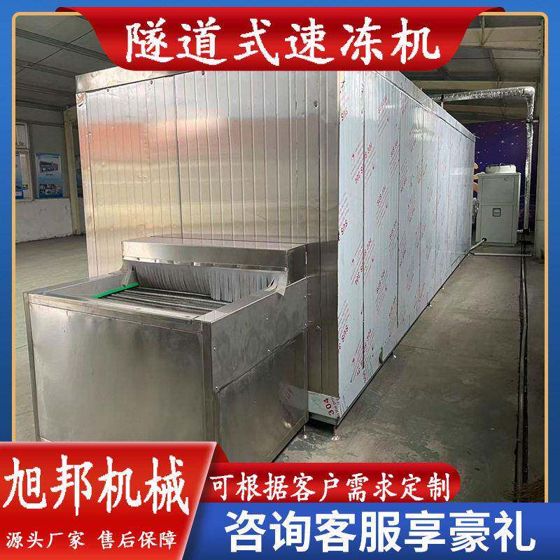 鸡排鸡腿隧道式速冻机汤圆双螺旋速冻设备海参鲍鱼快速冷冻机