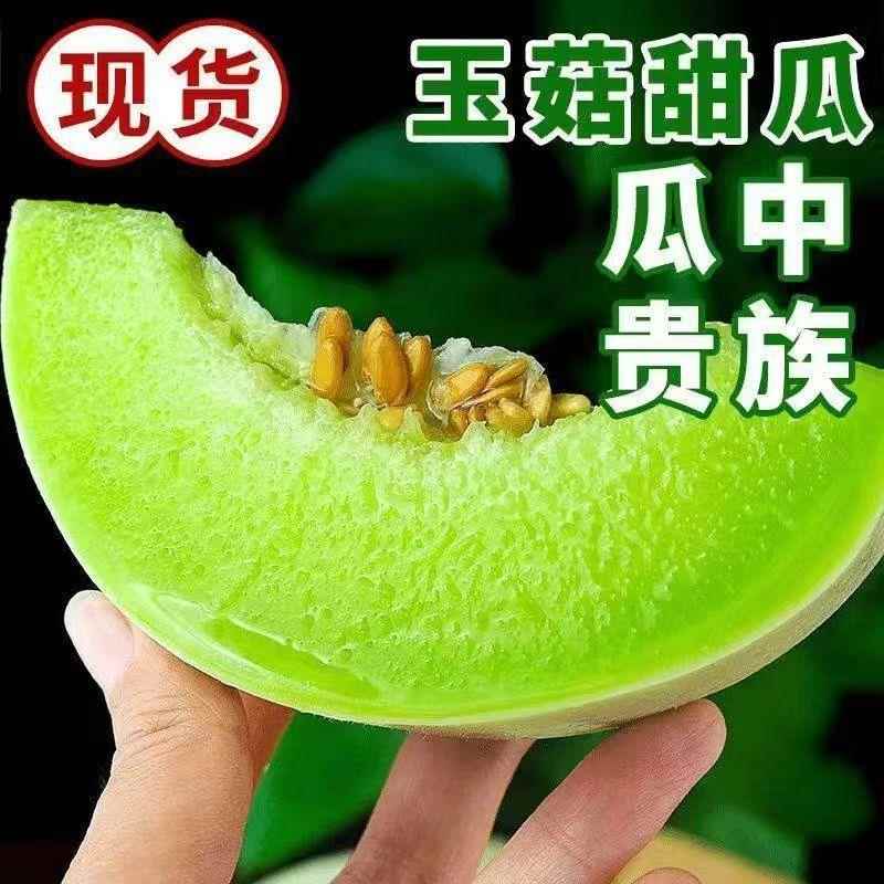 海南玉菇甜瓜蜜瓜10斤新鲜水果当季香瓜哈密瓜羊角蜜2/5斤