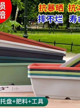 家庭种菜阳台盆长方形塑料长条花盆槽盆栽蔬菜种植盆树脂带托盘