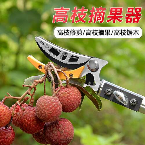 摘果修枝剪伸缩高空摘水果剪刀加长采摘器荔枝枇杷龙眼高枝剪