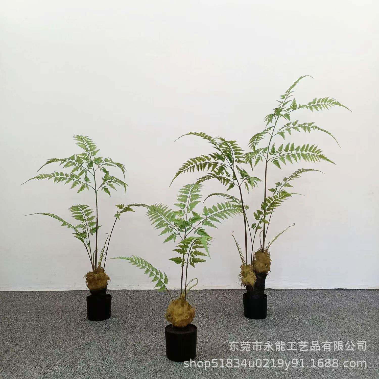 仿真狗猴头蕨金毛蕨假树内中室式园林院系庭造景YN-56装饰绿植物