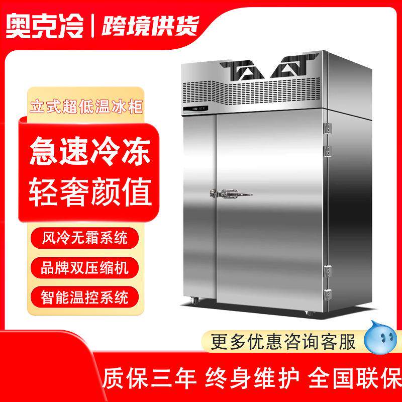 速冻柜商用急冻冰箱零下80度速冻机40度60度立式超低温冰柜 - 实物图