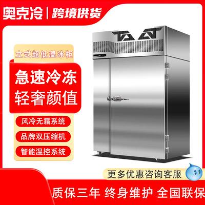 速冻柜商用急冻冰箱零下80度速冻机40度60度立式超低温冰柜