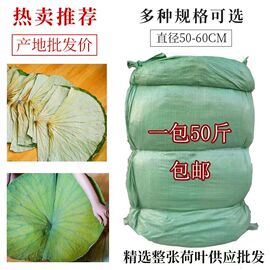 干荷叶整张2023年叫花鸡荷叶鸡糯米鸡荷叶茶专用荷叶整包50斤中叶