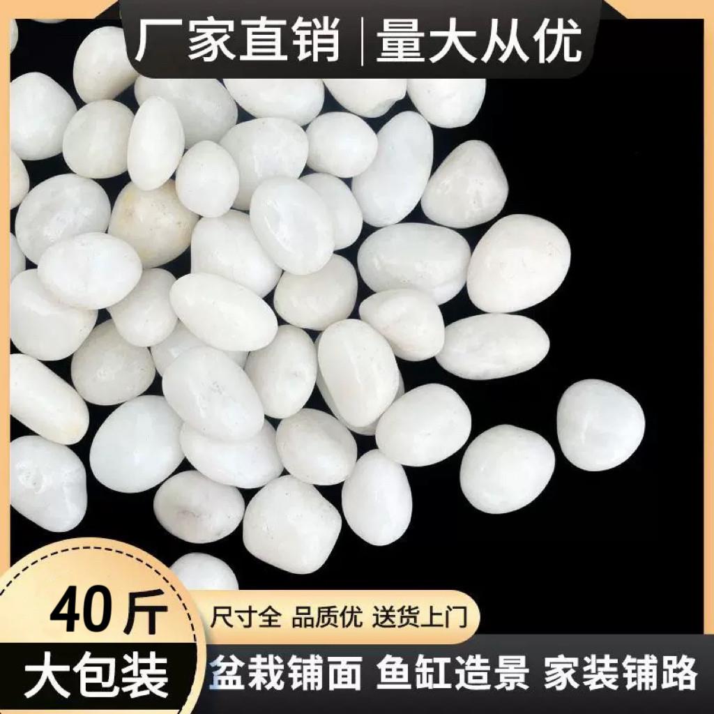 河南白色鹅卵石铺地抛光雨花石原石天然白色石头装饰白色鹅卵石