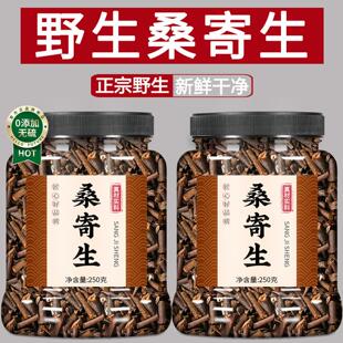 野生桑寄生中药材正品官方旗舰店杜仲桑寄生续断独活泡水喝的功效