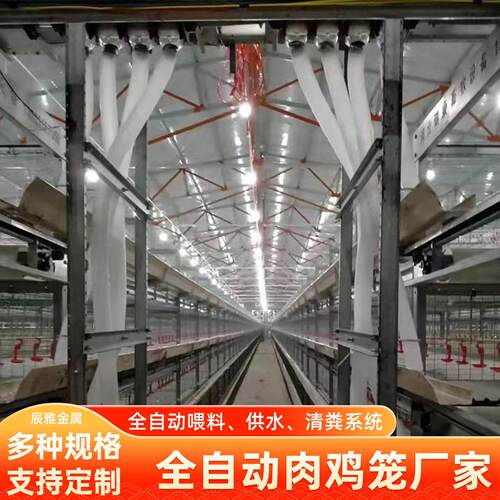 立式肉鸡笼多层叠式蛋鸡笼养殖场农场养殖自动清粪集蛋养殖鸡笼