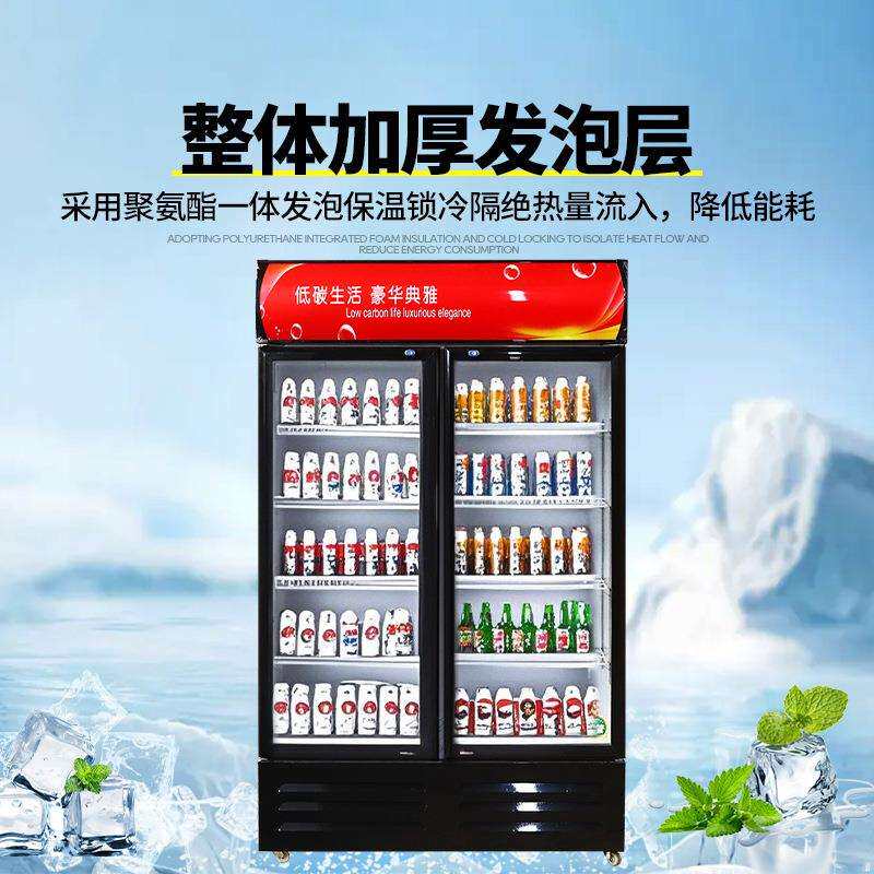 饮料啤酒冰柜商用冷冻冰箱大容量保鲜柜立式双门酒水冷藏展示柜