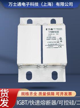 170M1824/1825/1826/1827/1828/1829/1830/1831/1832/1833熔断器