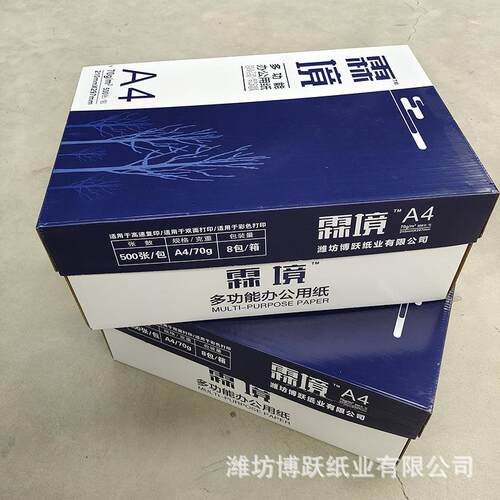 霖境a4纸打印纸 500张办公用纸复印纸整箱 70g双面复印纸