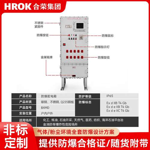 防爆配电箱IIIC级 不锈钢IIB控制箱 照明电源箱按钮箱非标制作