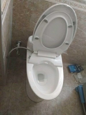智阁智能水箱小户型陶瓷电动马桶盖怎么样？被坑前车之鉴感受揭秘