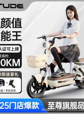 途得电动车成TDT6229Z人电动行车48型V铅/锂电小轻便代步长续航酸