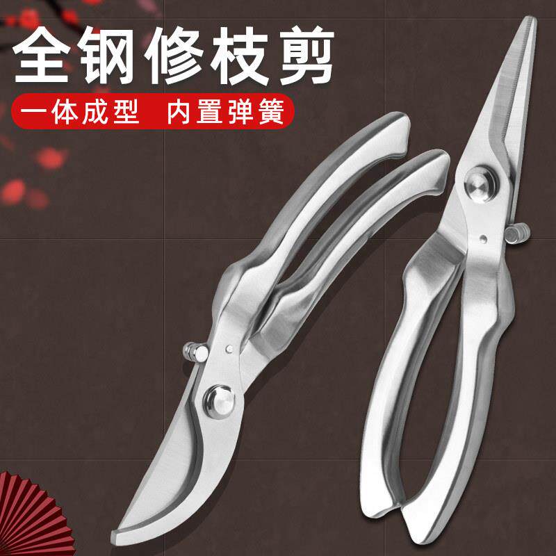 【活动专享】果树剪枝专用剪刀园艺修枝剪不锈钢园林树枝盆景修剪图片