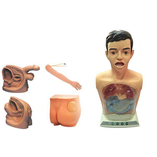 新型基础护理实习操作模型（五部件）