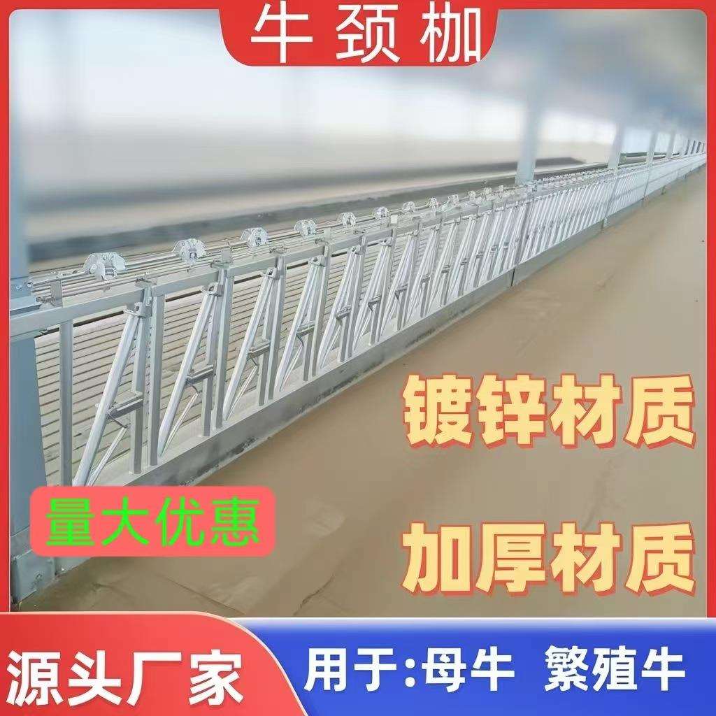 自锁式牛颈枷热镀锌材质牛颈夹牛护栏养殖畜牧机械设备防疫机奶牛