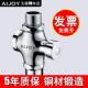 爱卓手按式 冲水阀卫生间蹲便器阀门开关蹲坑厕所大便延时阀冲洗阀