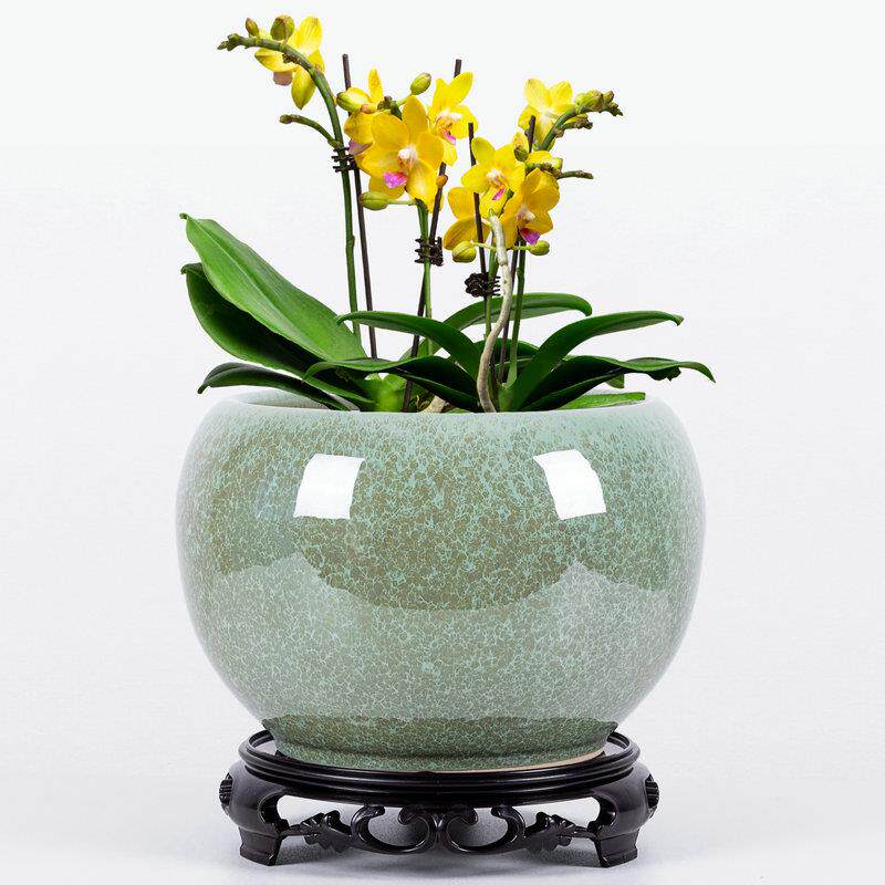 球形花盆陶瓷兰花专用盆花器多肉花盆室内花卉盆植物盆栽陶瓷花盆