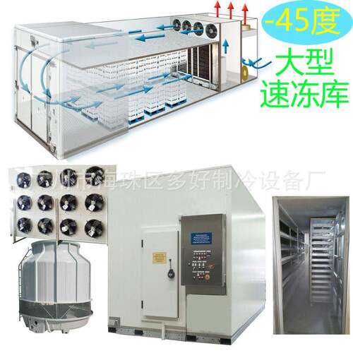每小时产200kg速冻库 推车式速冻库 零下45度急冻库大型速冻机