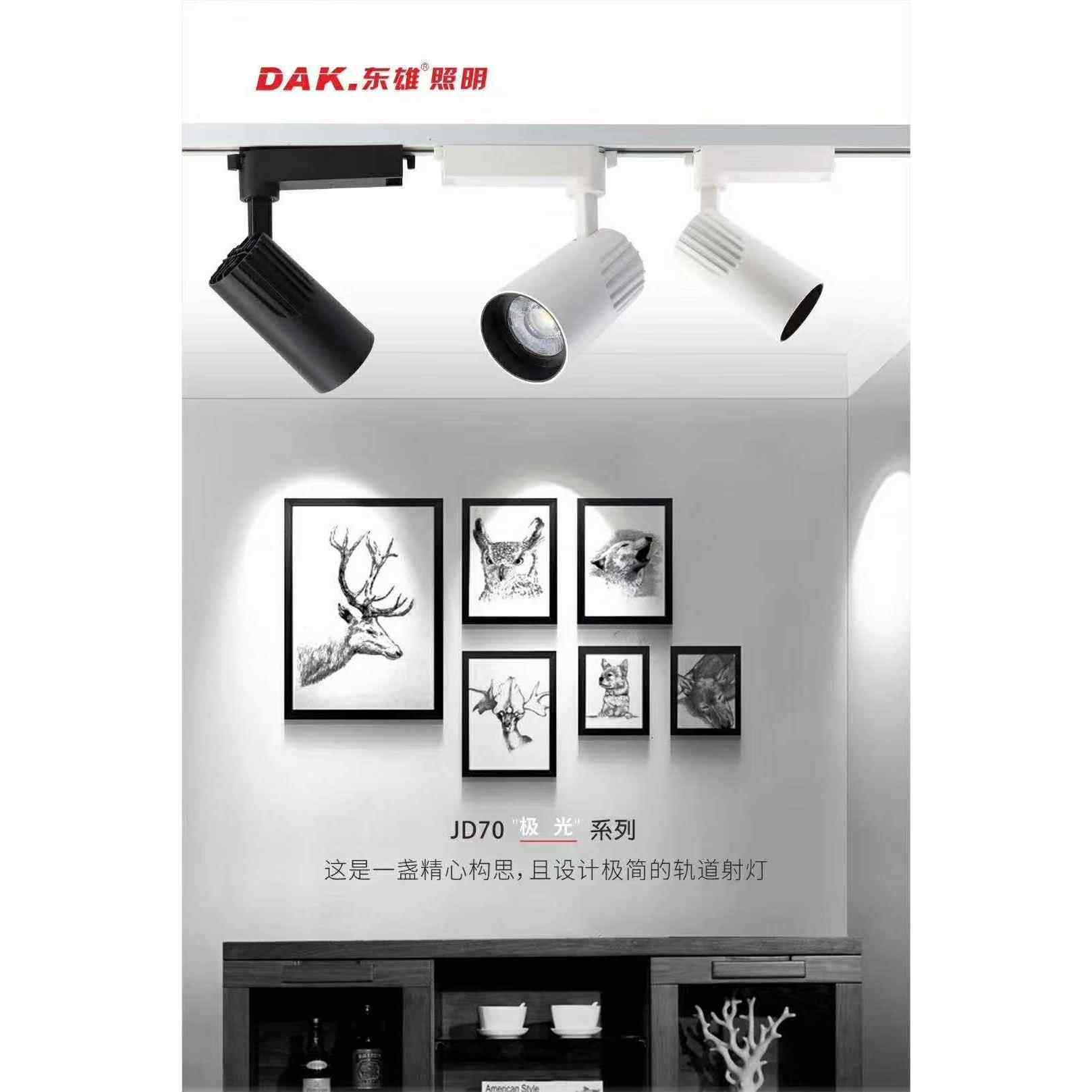 东雄led照明 30W轨道射灯 商用背景墙服装店 鞋店LED商用照明