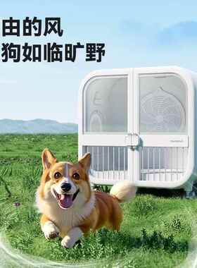 霍曼宠物烘干机PD135猫咪狗狗自动吹干机洗澡吹水家用宠物烘干箱