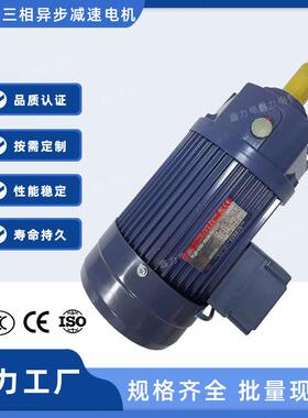 TL 三相异步电动机PL28-0750-25S3B-S2厦门东历减速马达 台湾东力