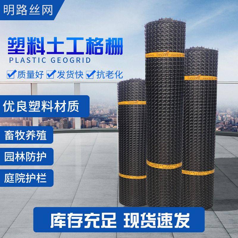 可定制工程用双向塑料拉伸路基加固钢塑土工格栅玉米粮仓围栏网