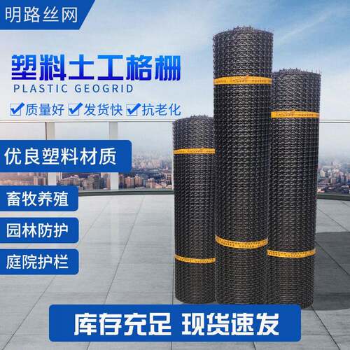 可定制工程用双向塑料拉伸路基加固钢塑土工格栅玉米粮仓围栏网