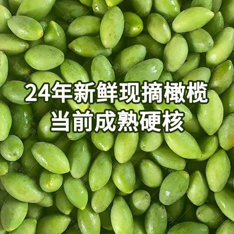 正宗潮汕香甜青橄榄果新鲜现摘酥脆二号生吃回甘孕妇水果煲汤青