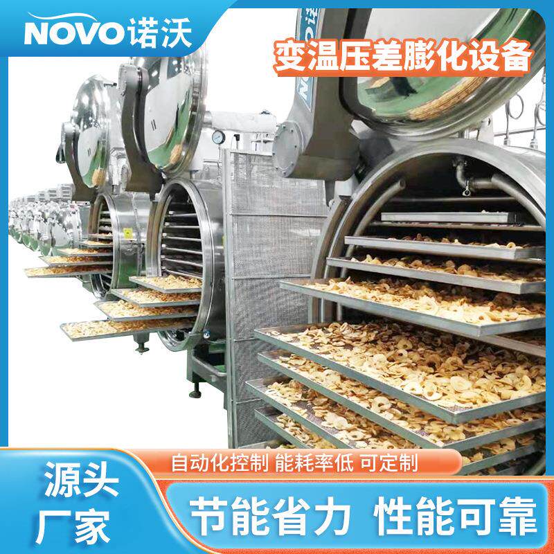 变温压差膨化机果蔬脆片加工全套设备非油炸苹果机器食品级